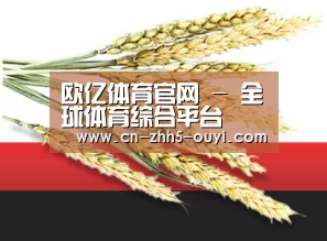 欧亿体育官网 - 全球体育综合平台