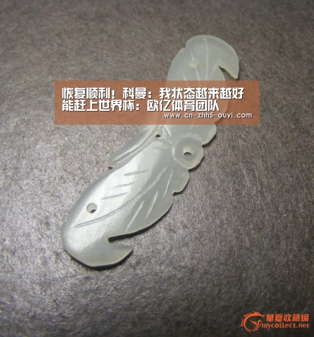欧亿体育公司
